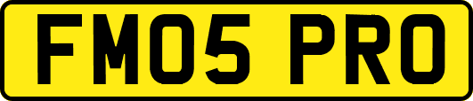 FM05PRO