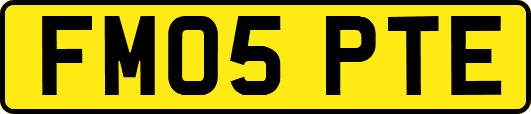 FM05PTE