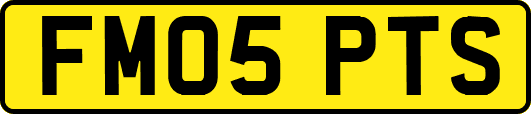 FM05PTS