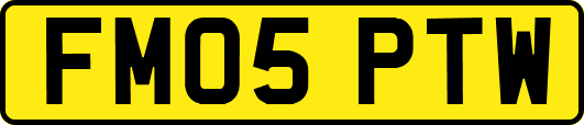 FM05PTW