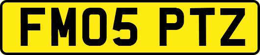 FM05PTZ