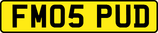FM05PUD