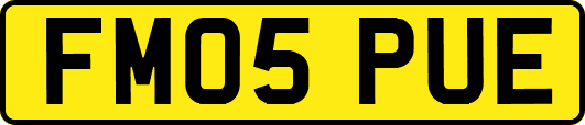 FM05PUE