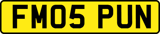 FM05PUN