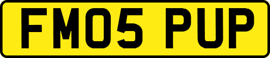 FM05PUP