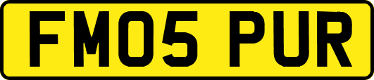 FM05PUR