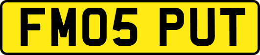 FM05PUT