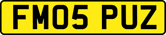 FM05PUZ