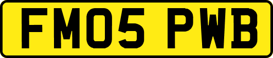 FM05PWB