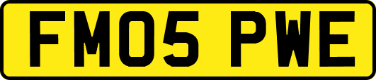 FM05PWE