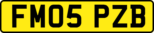 FM05PZB