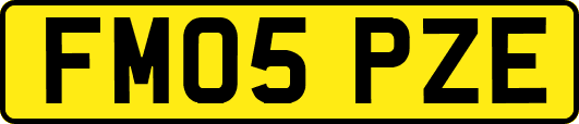 FM05PZE