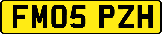 FM05PZH