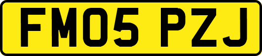 FM05PZJ
