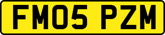 FM05PZM