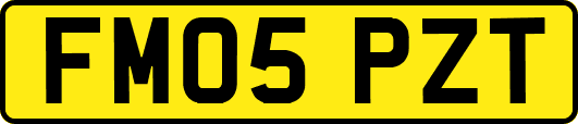 FM05PZT