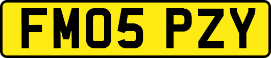 FM05PZY