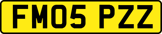 FM05PZZ