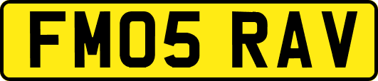 FM05RAV