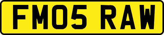 FM05RAW