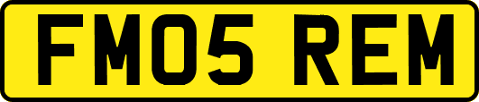 FM05REM