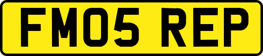 FM05REP