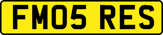 FM05RES