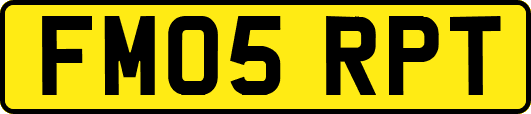 FM05RPT