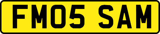 FM05SAM
