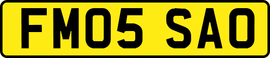 FM05SAO