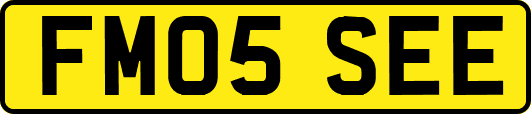 FM05SEE