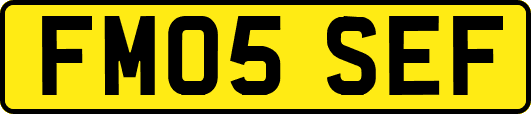 FM05SEF