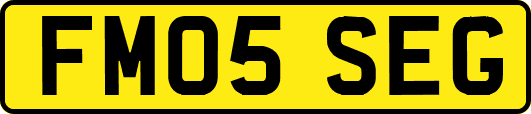FM05SEG