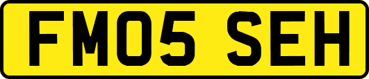 FM05SEH