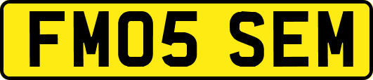 FM05SEM