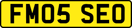 FM05SEO