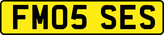 FM05SES