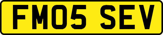 FM05SEV