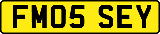 FM05SEY