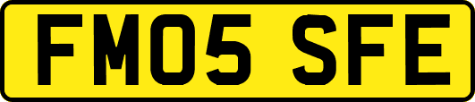 FM05SFE