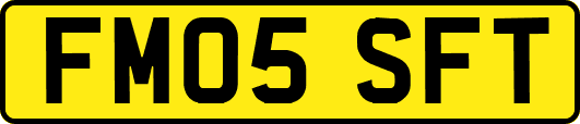 FM05SFT