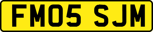 FM05SJM