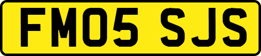 FM05SJS