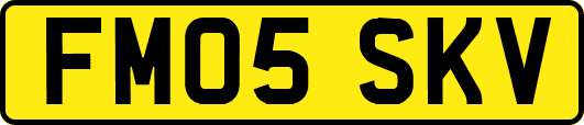 FM05SKV