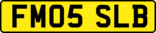 FM05SLB