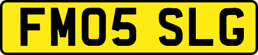 FM05SLG