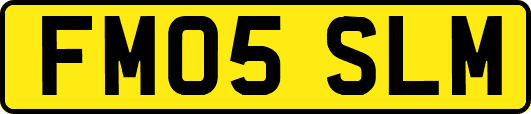 FM05SLM