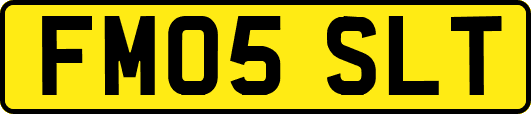 FM05SLT