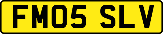 FM05SLV