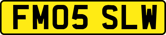 FM05SLW